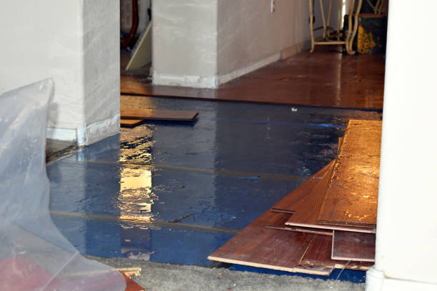 Professional Burst Pipe Cleanup technician working in Paris, ME